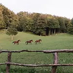 Forest Retreat With Sauna And Jacuzzi