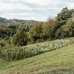 Forest Retreat With Sauna And Jacuzzi * Lasko