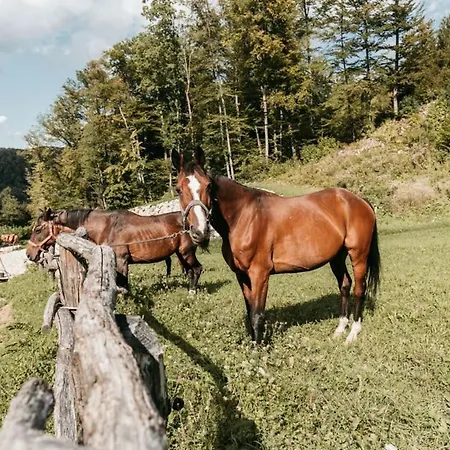 Villa Forest Retreat With Sauna And Jacuzzi *